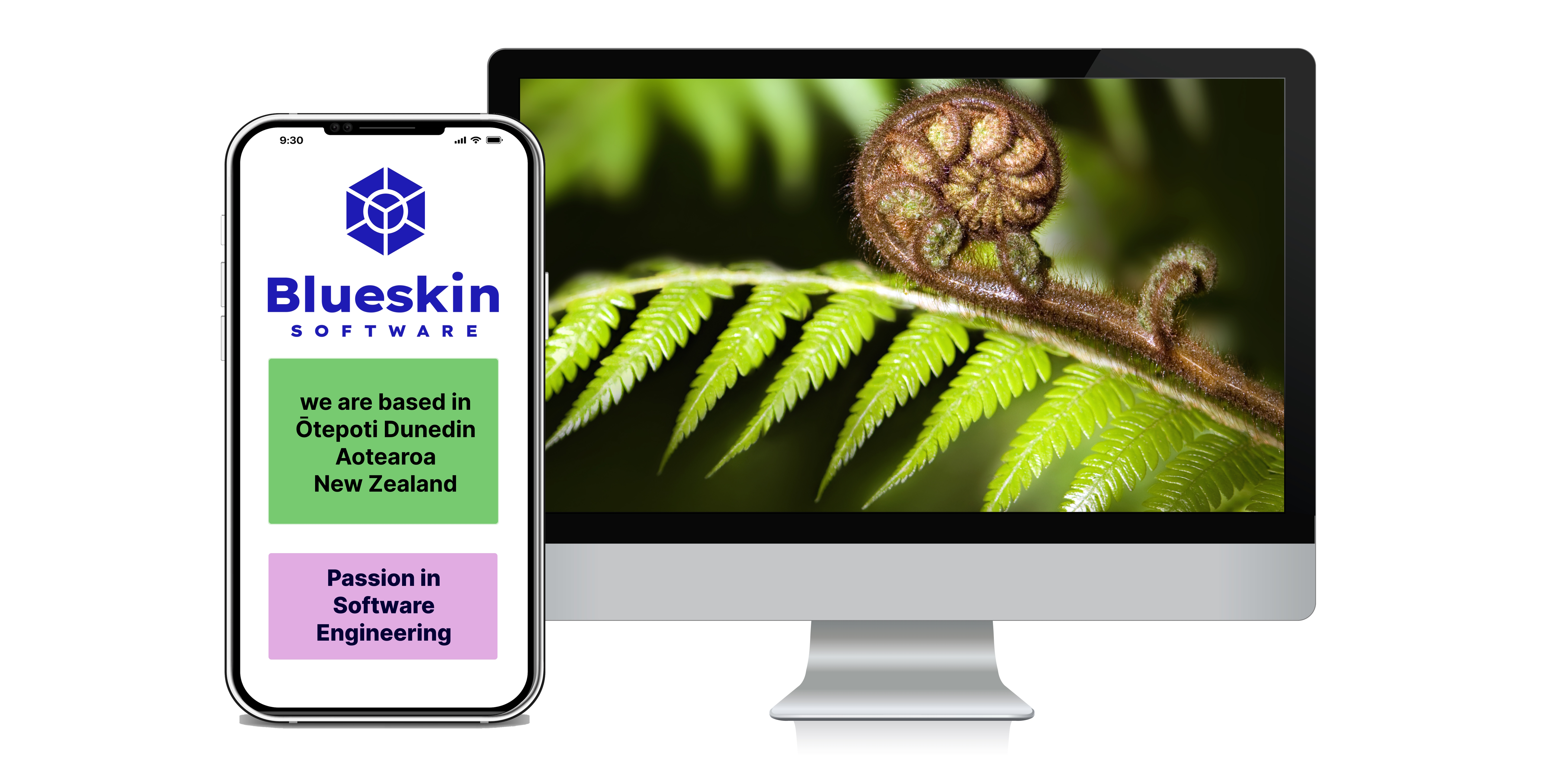 Blueskin Software, specialized in custom software engineering located in new zealand